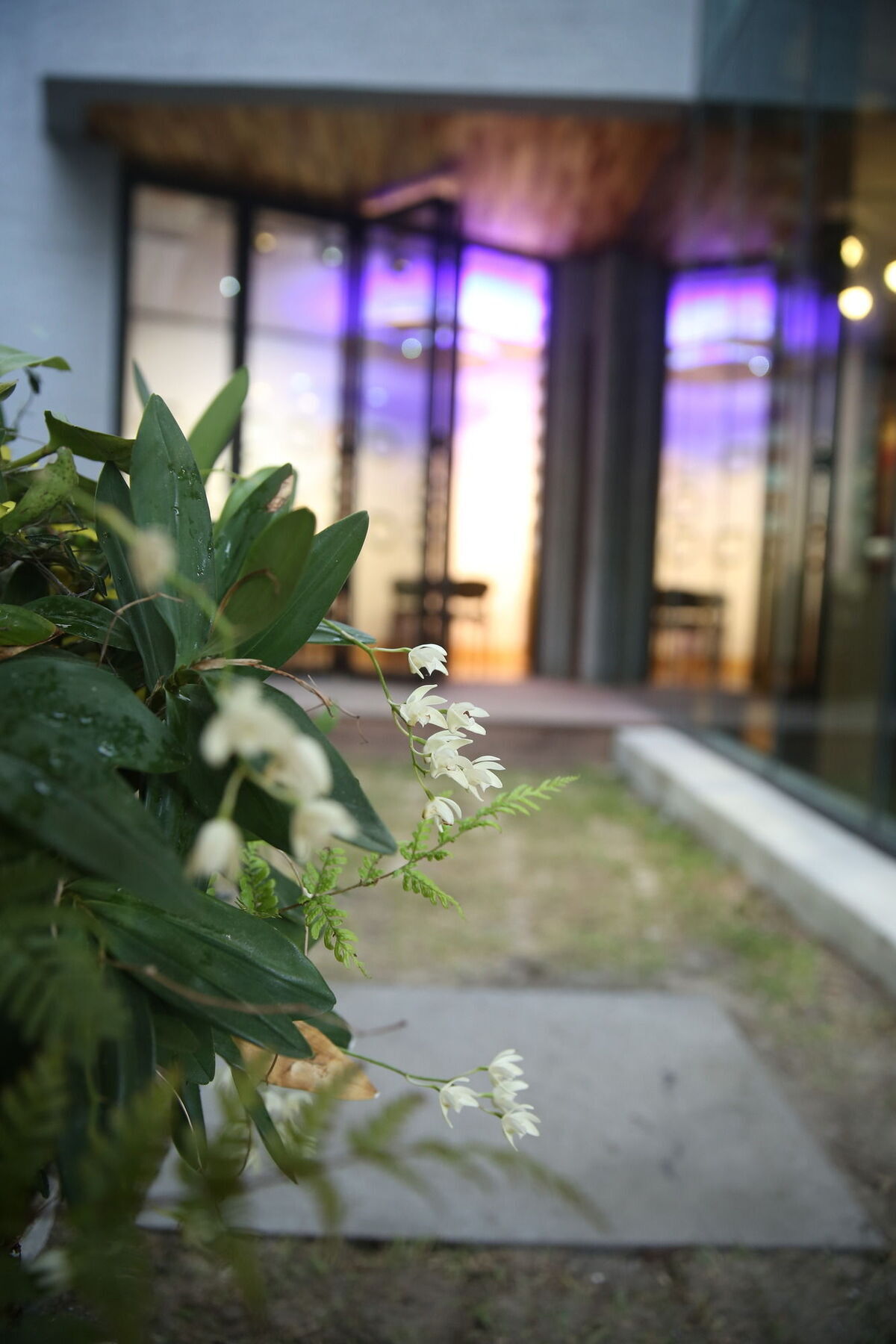 Sogondak House Villa Csedzsu Kültér fotó